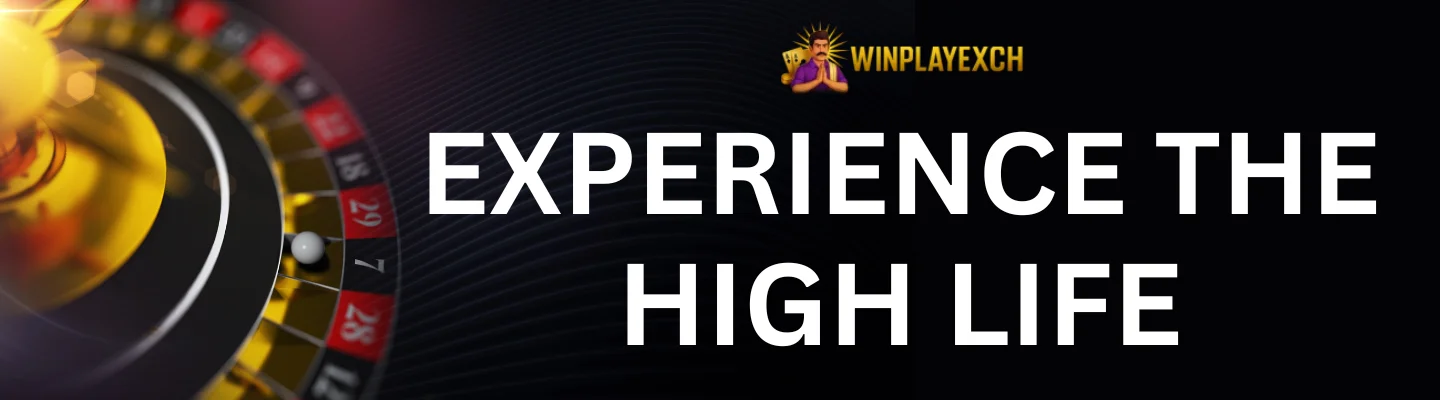 Winplayexch Partners with Khelo24bet