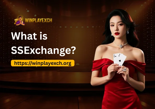 What is SSExchange
